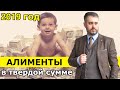 Алименты 2019 г. в твердой денежной сумме. Взыскание, судебная практика