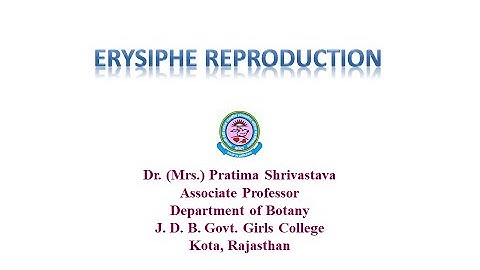 Dr. Pratima Shrivastava, B. Sc. Part I, paper I, Unit IV, Erysiphae Reproduction