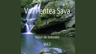 Video thumbnail of "Vali Pentea Sava - In fiecare dimineata"