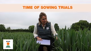 Time of sowing trials @ PDF East