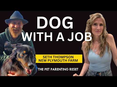 Choosing the Right Dog for Your Life: Lessons from a Regenerative Farmer