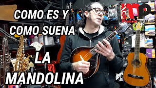 Como es la Mandolina - Como suena la mandolina