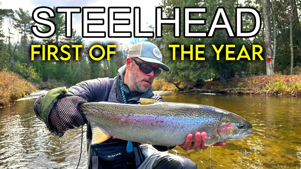 Fall Steelhead - FIRST of the 2025 Season Wasn't Easy