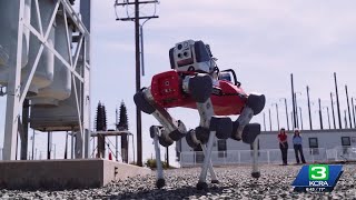 SMUD s new robot dog is out of this world