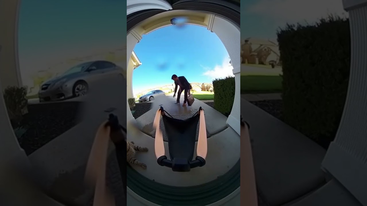 "Cat Ki Overacting Level 100 😂🐾 | Funniest Milo Moments"