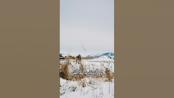 صوت يأخذك إلى عالم آخر 🌌 | استمع وتدبر جمال القرآن الكريم#القرآن#تلاوة_خاشعة#القرآن_شفاء#القرآن_ضياء