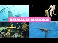 ¡Descubre los Animales Marinos! 🐬🐠 Video educativo.
