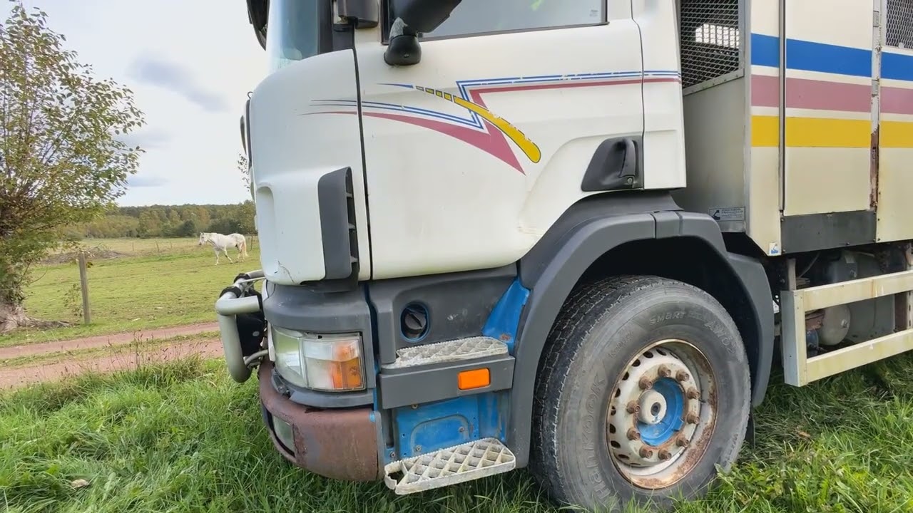 Djurtransport SCANIA P124 GB 6X2 4NB40
