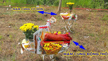 [VIDEO] Cúng động thổ khởi công xây dựng chuẩn theo phong tục Miền Nam | Đồ Cúng Tâm Linh