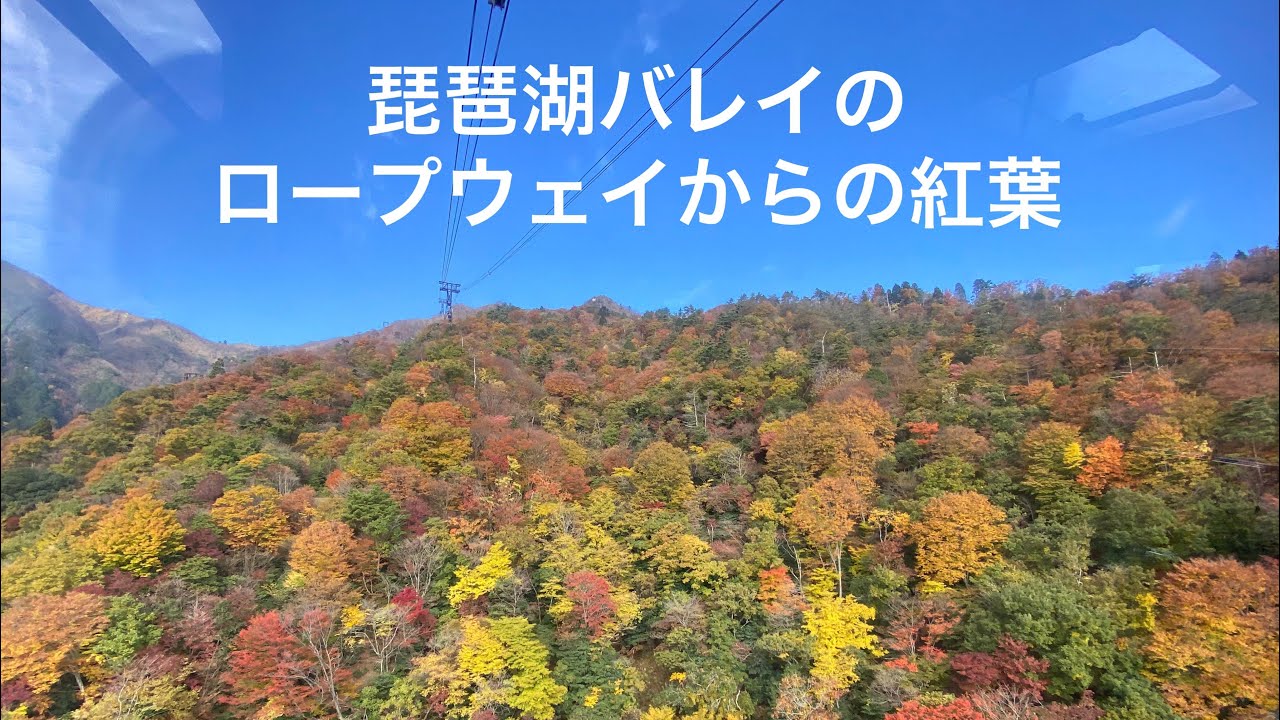 大津 琵琶湖バレイの登りロープウェイからの紅葉 3倍速 1113 Youtube
