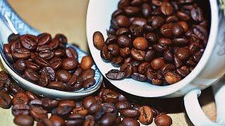 How to Grow your own Coffee