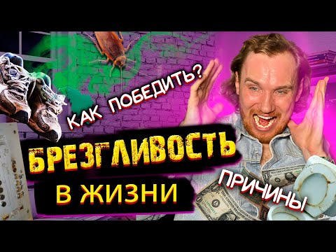 Брезгливость В Жизни. Причины  Как Победить Брезгливость?