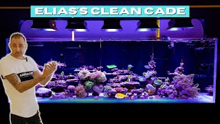 Crazy Clean Reef Tank Setup - Elias's Cade 2100