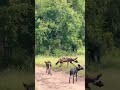 South Africa 2024