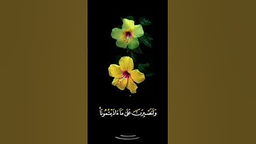 صباح الخير اجمل حالات واتس اب مقاطع قصيره قران كريم سورة إبراهيم ومالنا الانتوكل على الله بدون حقوق