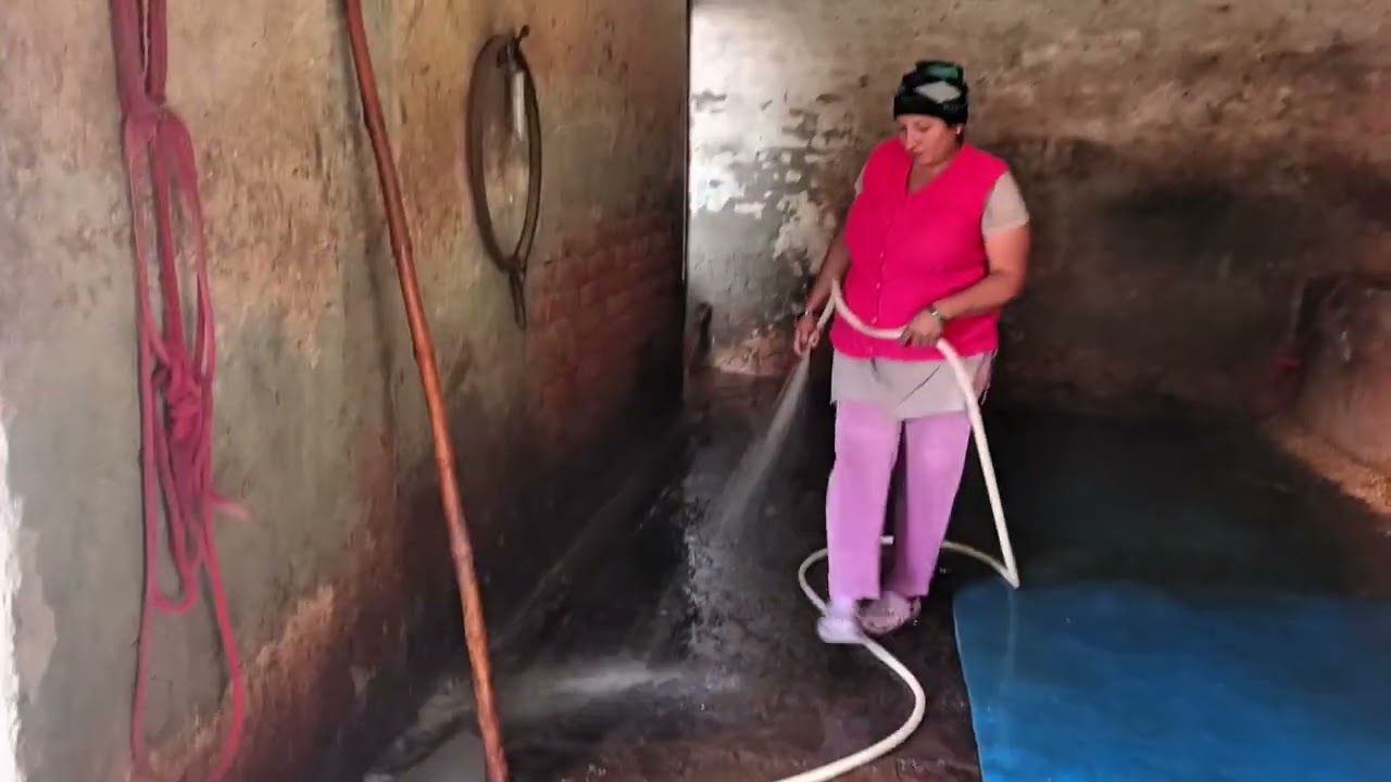 आज लाए एक और नई भैंस 🐂🐂 