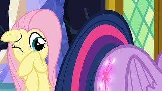 Twilight Sparkle & Fluttershy - Isnt This Exciting? Oh You Were Called, Too? Thank Goodness.