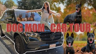 Dog Mom Car Tour