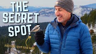 Lake Tahoe’s Secret Winter Stop That Makes People Move Here
