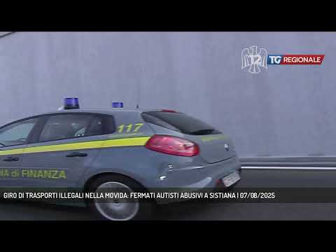 GIRO DI TRASPORTI ILLEGALI NELLA MOVIDA: FERMATI AUTISTI ABUSIVI A SISTIANA | 07/08/2025
