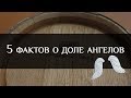 5 фактов о доле ангелов - испарении напитка | 5 facts about  the Angel's Share | Бондарная Лавка