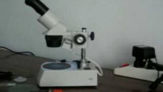 Microscopio Stereo Optika St302Led 20X - 40X