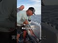 見てるだけで鼻が痛くなってくる動画