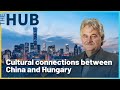 Cultural connections between China and Hungary