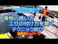雑賀埼シーパーク　青物の釣り方テクニック紹介