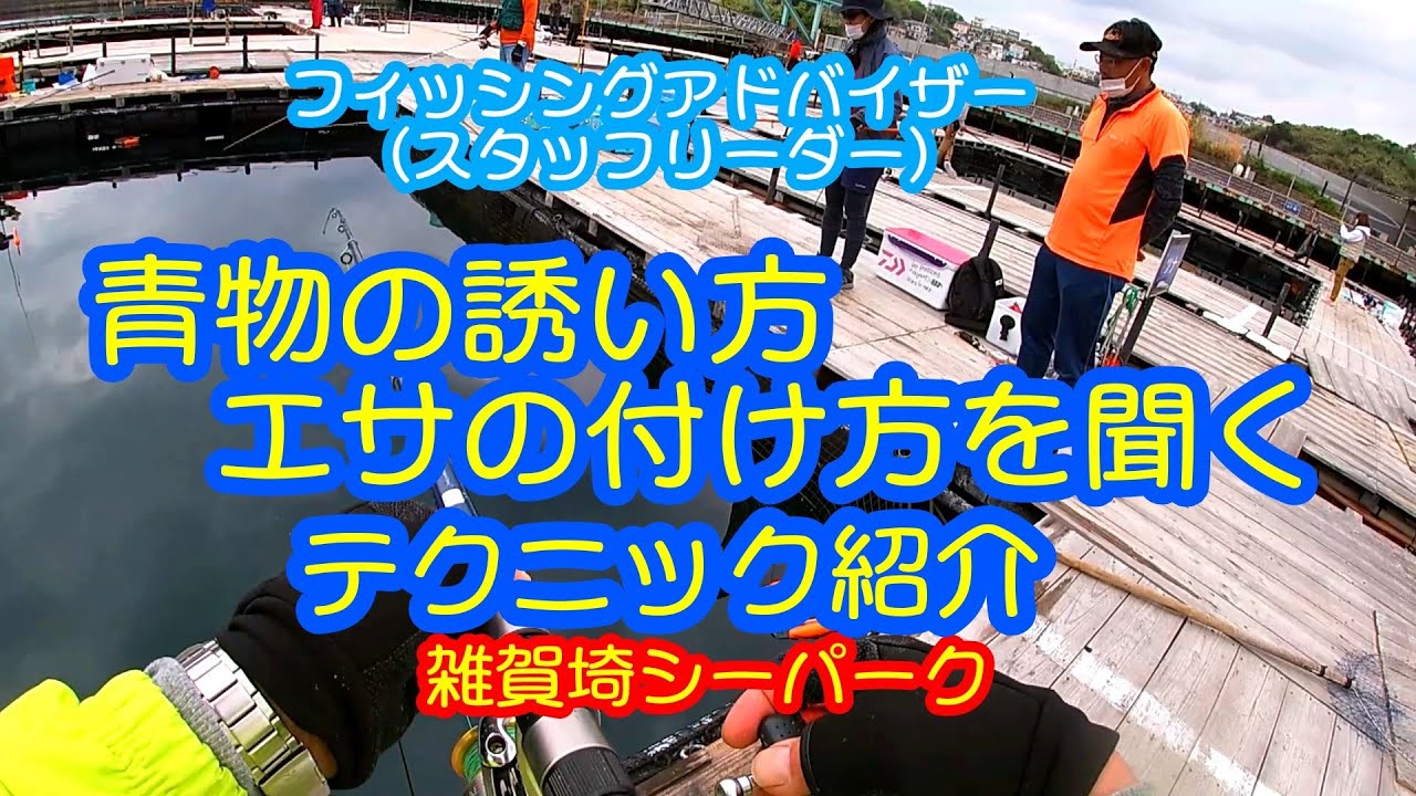 釣堀紀州 イケスのアミがたいへんなことに Youtube