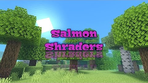 Shader for Minecraft | SALMON SHADERS| For low end Device |1.18 - 1.19