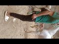 تزاوج خيل هتلر ٢٠٢٢