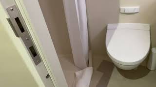 Discovery Princess Obstructed Balcony E417