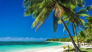 Summer Vibe Music - Bossa Nova Jazz With Relaxing Ocean Waves For Good Moods