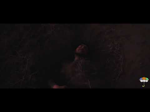 Wavy Jone Paradox Official Music Video 