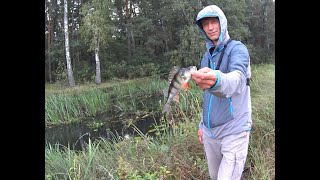 видео: Рибалка на боковий кивок.🎣 Перша в цьому сезоні на річці Уж, і не погана вийшла, окунь🐳 хапав жадно. картинка: Рибалка на боковий кивок.🎣 Перша в цьому сезоні на річці Уж, і не погана вийшла, окунь🐳 хапав жадно.