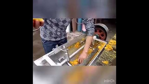 mango pulping
