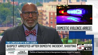 VIDEO: Man arrested after domestic violence incident ends in gunfire, deputies say