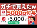 【ついに】あのPayPay5000p貰える神キャンペーン復活!!!