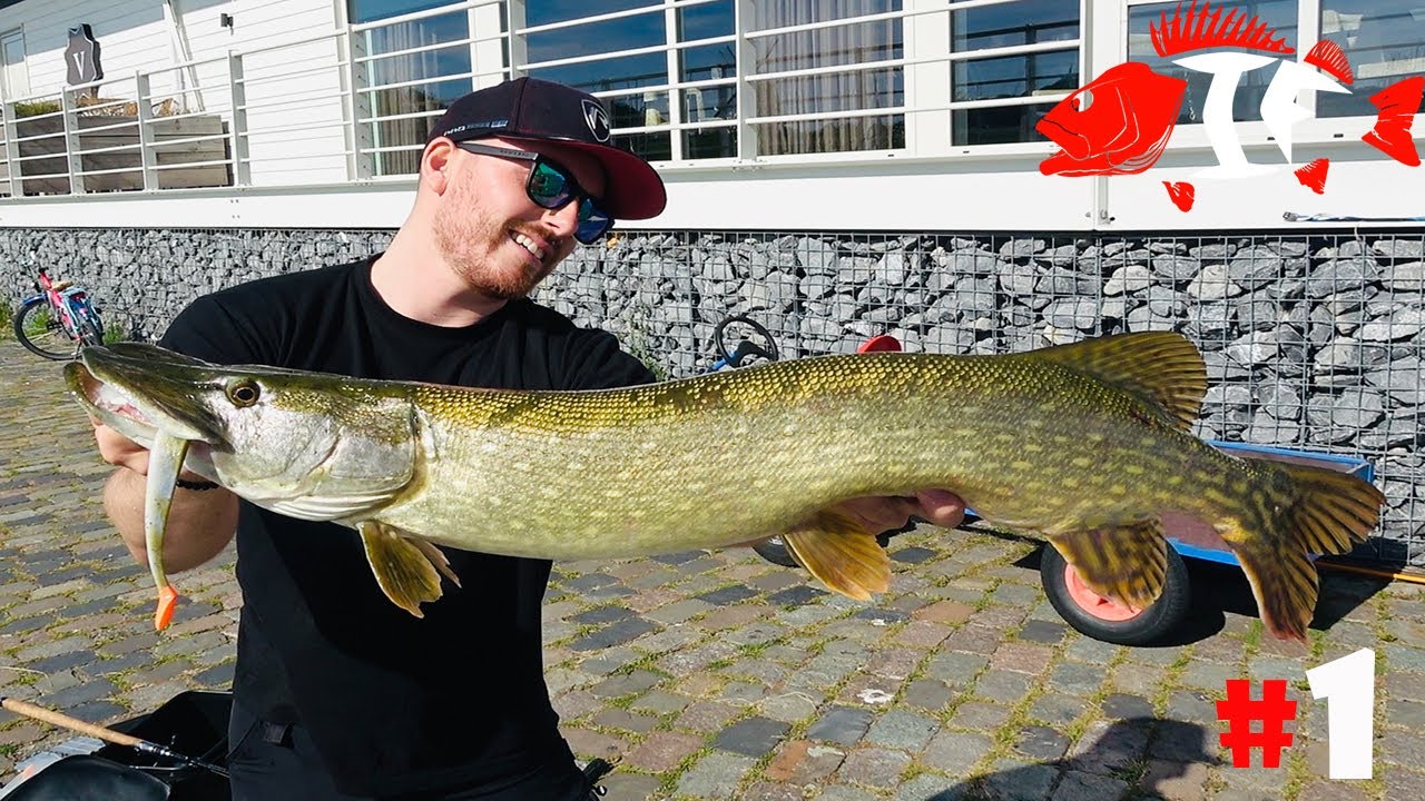 Angeln in Holland auf Zander Barsch und Hecht #1 -  INSIDER FISHING