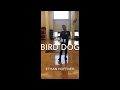 Ethan bird dog