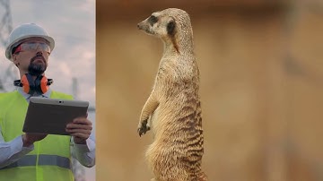 IRMA is watching your OT network