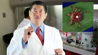 Arthritis care | heartland tick