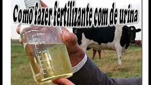 Como usar urina de vaca nas plantas?