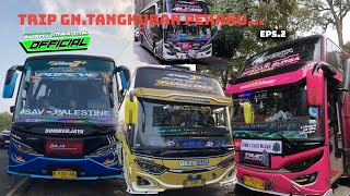 Eps : 2 [ TRIP TO TANGKUBAN PERAHU KONVOI ASIKK !!! ] #busindonesia #busmania #basuri #buspariwisata