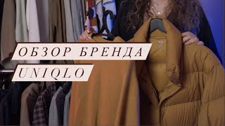 Большие размеры в UNIQLO? || Обзор, ЛУЧШИЕ ВЕЩИ, как найти и заказать вещи Plus Size и Mid Size