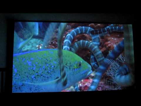 Casio XJ-A240 projector playing Planet Earth in 1080i.