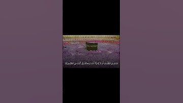 قصة سيدنا يونس عليه السلام  مقطع من سورة الأنبياء للشيخ على الجابر  تراويح الحرم المكي  ١٤٠٨ هجريا