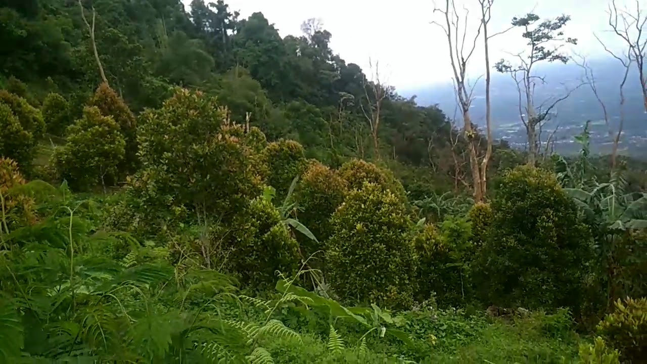 PUNCAK GUNUNG KARANG PANDEGLANG PEMANDANGAN NYA SANGAT ...