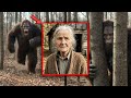 Arguably the Creepiest Bigfoot Encounters That Happened to Her (With Footage)